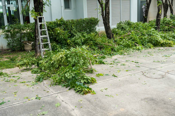 Best Emergency Tree Removal  in Pierceton, IN